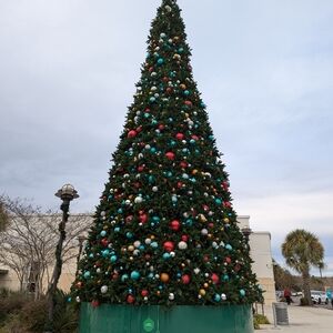 Meet your Posher, Sonia